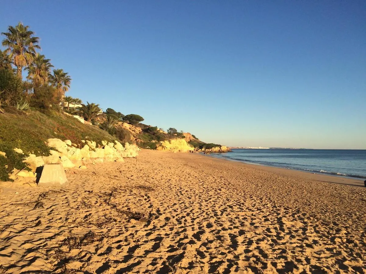 Bicos T By Check-In Portugal Apartment Albufeira 0*,